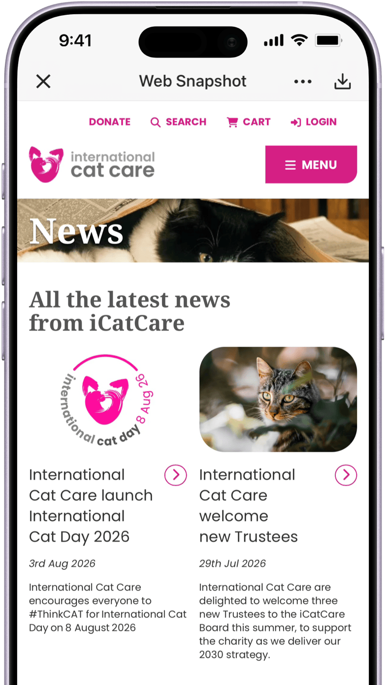 Picsew Web Snapshot extension interface